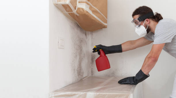 Professional Mold Cleanup technician working in Freehold, NJ