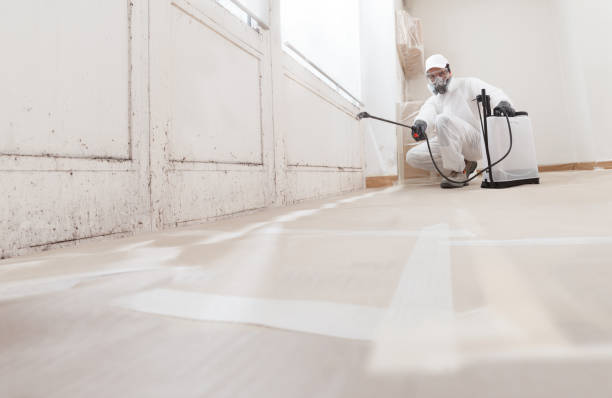 24/7 Emergency Mold Cleanup experts in Freehold, NJ